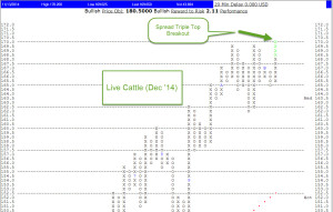 live cattle trip 300x191 Commodities Corner:  Live Cattle vs. Cotton   A Tale of Two Tapes 